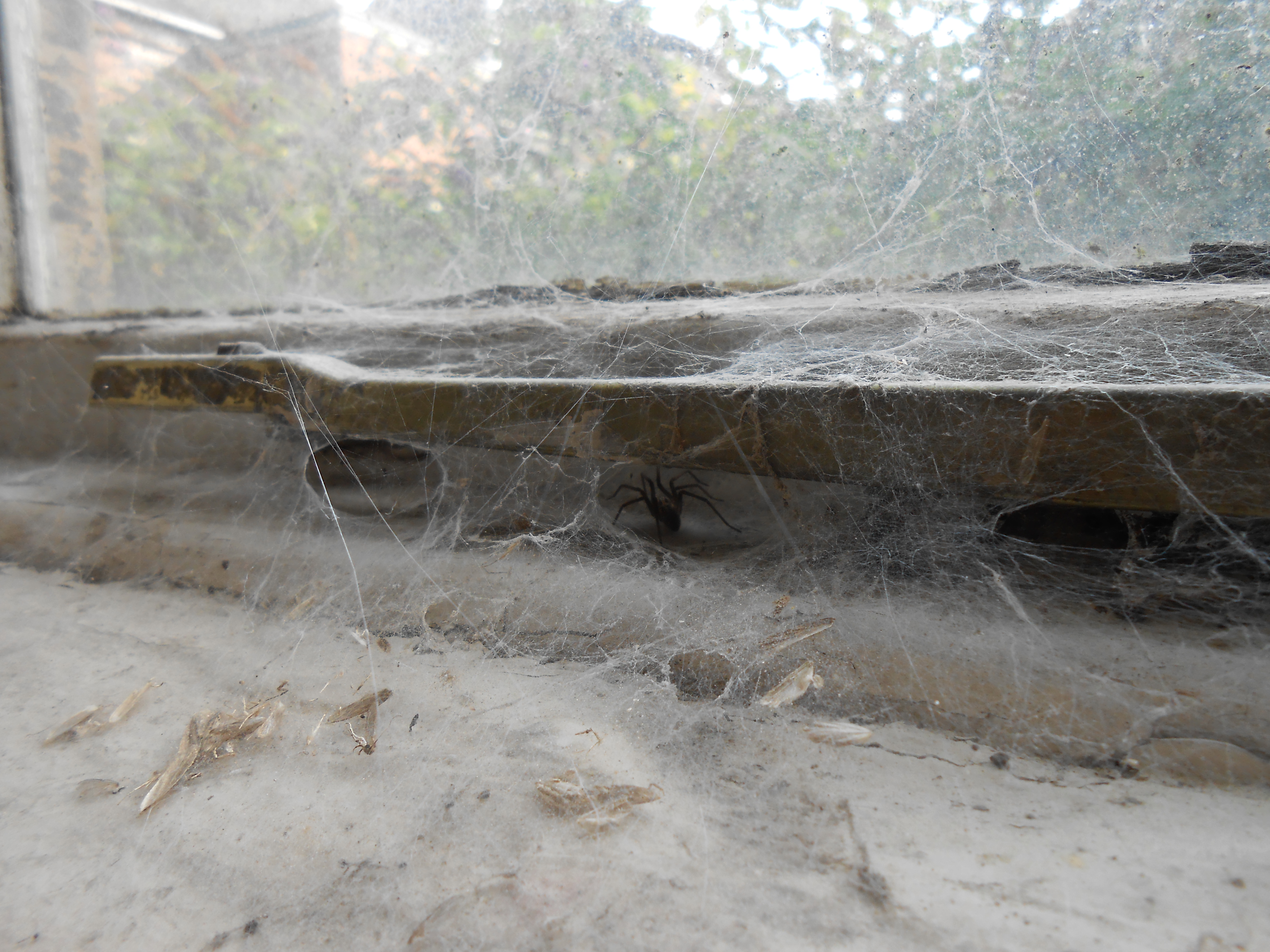 Behind the scenes at the British Ceramics Biennial 2013 (credit: Anna Kime) The China Hall, Old Spode Works, Stoke-on-Trent