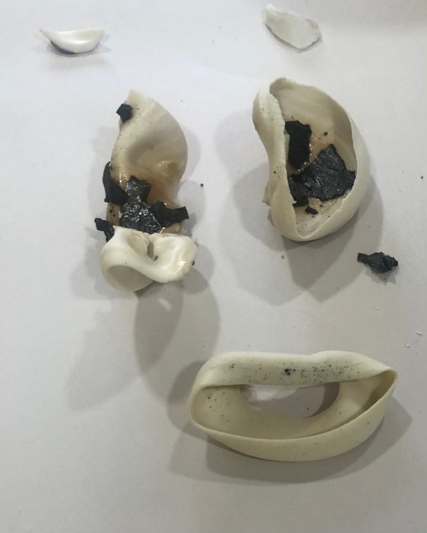 Several porcelain pieces