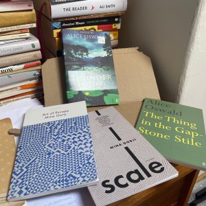 Four books on a desk: Art of Escape by Mina Gorji, scale by Mina Gorji, The Thing in the Gap-Stone Stile by Alice Oswald and The Thunder Mutters edited by Alice Oswald.